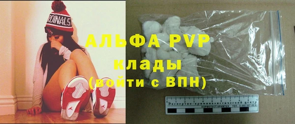 хмурый Белая Холуница