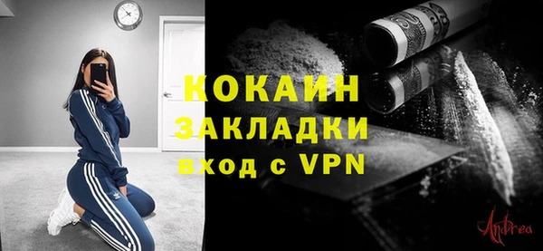 PSILOCYBIN Горнозаводск