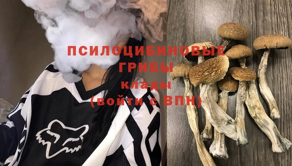 таблы Горняк