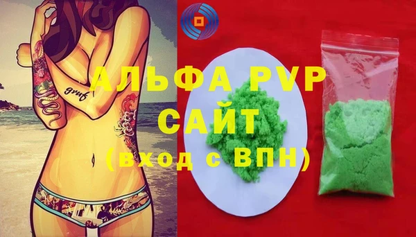 PSILOCYBIN Горнозаводск