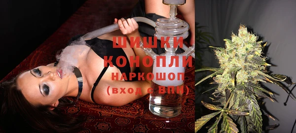 PSILOCYBIN Горнозаводск