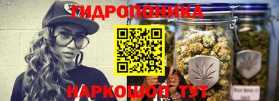 СК Лесосибирск