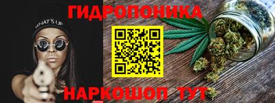 СК Лесосибирск