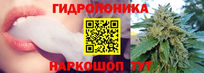 индика Кумертау